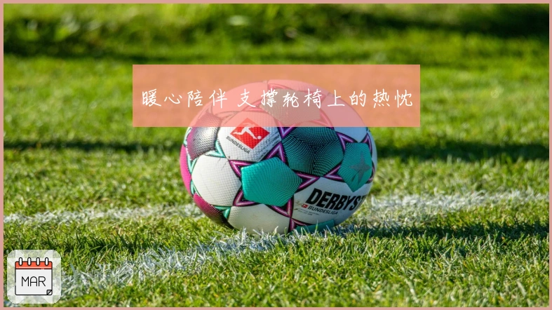 暖心陪伴 支撑轮椅上的热忱