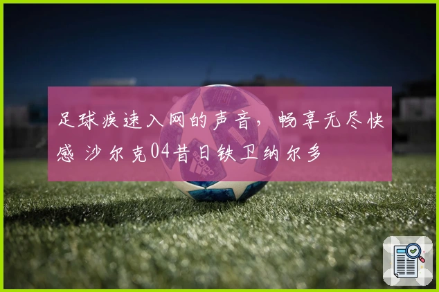 足球疾速入网的声音，畅享无尽快感 沙尔克04昔日铁卫纳尔多